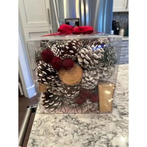 NEW Pottery Barn peppermint potpourri holiday Christmas $49.50